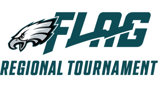 Eagles NFL FLAG (1)